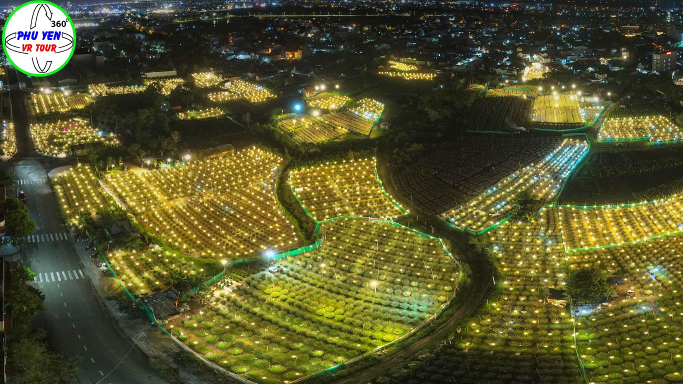 Làng hoa Tết phường 9