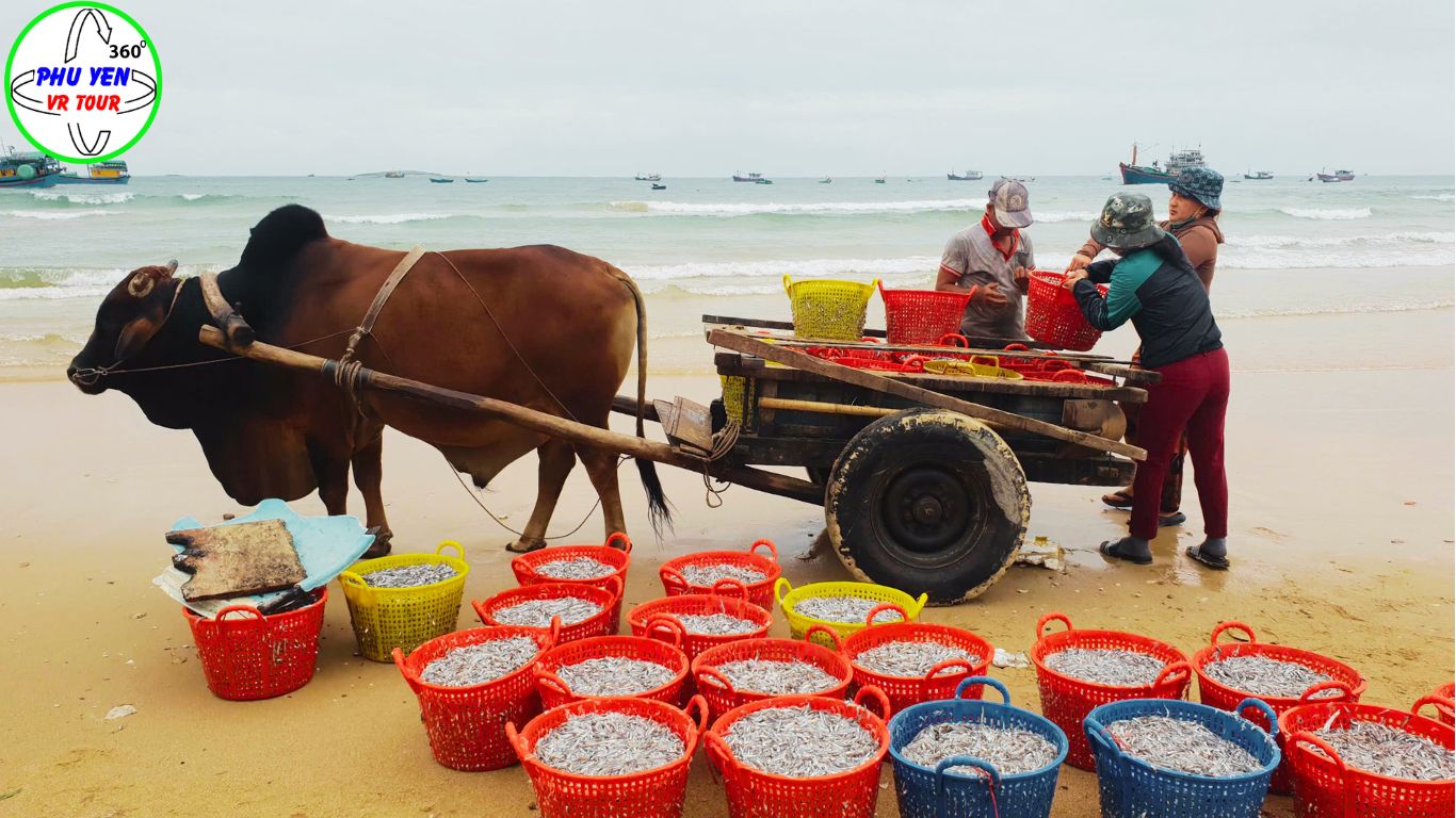Làng nghề nước mắm Long Thủy