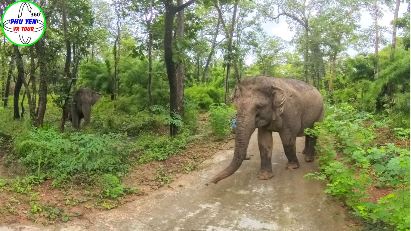 Vườn quốc gia Yok Đôn